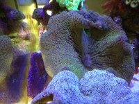 IMG_0803.jpg