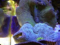 IMG_0804.jpg