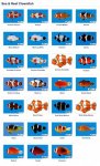 ImageUploadedByReefs1360382979.311204.jpg
