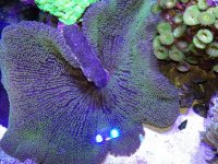 IMG_0813.jpg