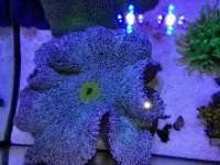IMG_0814.jpg