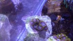 20130523_172857.jpg
