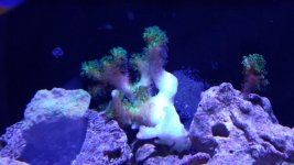 20130523_172958.jpg