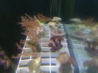IMG_20130112_180711.jpg