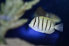 IMG_1958.jpg