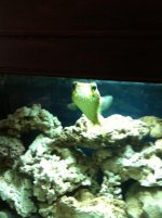 IMG_0009.jpg