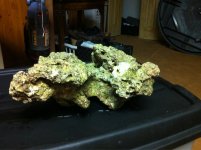 ImageUploadedByReefs1364266300.980286.jpg