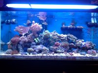 20121213_100310.jpg