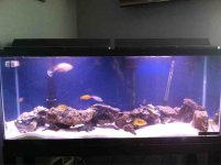 ImageUploadedByReefs1348371121.611184.jpg