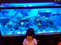 20120811_195614.jpg