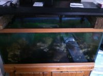 tank down 5.jpg