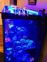 ImageUploadedByReefs1364318948.000467.jpg