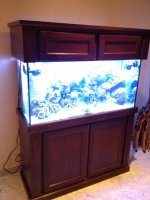 ImageUploadedByReefs1373672229.223311.jpg