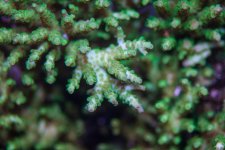 IMG_6757.jpg