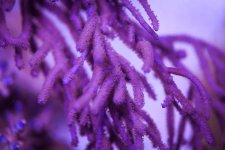 IMG_6761.jpg
