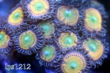 IMG_3741.JPG