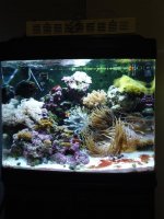 DSC02142.jpg