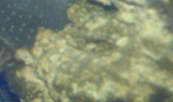 IMAG0583.jpg
