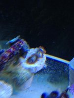 IMG_1667.jpg