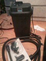 IMG_20120923_140351.jpg
