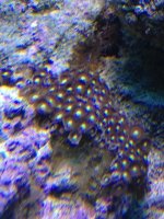 IMG_1678.jpg