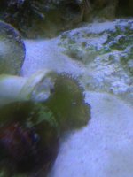 IMG_1677.jpg