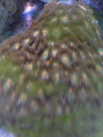 IMG_1675.jpg