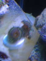 IMG_1674.jpg