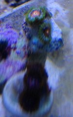 IMG_1673.jpg