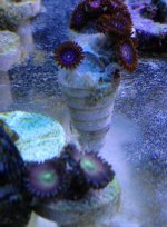 IMG_1671.jpg