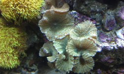 IMAG0286 (1).jpg