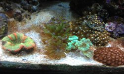 IMAG0287.jpg