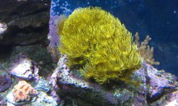 IMAG0288.jpg