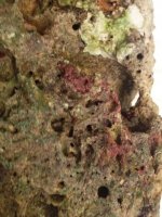 image-5.jpg