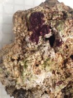 image-6.jpg
