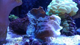 IMAG0054.jpg