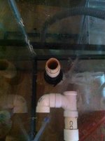 ImageUploadedByReefs1348501742.933951.jpg