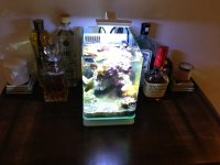 ImageUploadedByReefs1356646886.136716.jpg