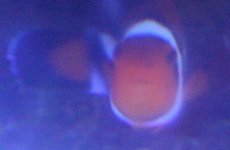 IMG_5481.JPG