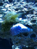 Iphone pix 110.jpg