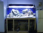tank new.jpg