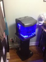 ImageUploadedByReefs1364431222.934847.jpg ImageUploadedByReefs1364431222.934847.jpg