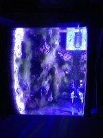 ImageUploadedByReefs1364431269.389858.jpg ImageUploadedByReefs1364431269.389858.jpg