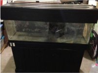 40 gallon.jpg