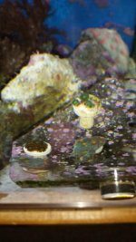 20130713_163118.jpg