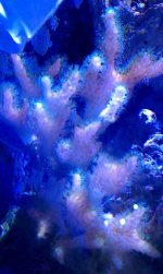 IMAG0012.jpg