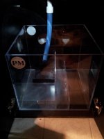 20121110_174735.jpg