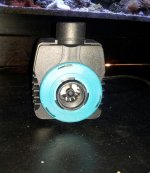 20130211_002128-1.jpg