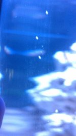 IMG_20130715_100745_246 (1).jpg