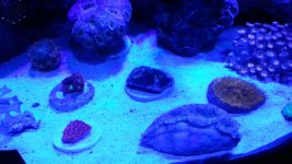 20130421_194718.jpg 20130421_194718.jpg